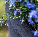 DrieDay second export-38.webp