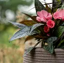 DrieDay second export-40.webp