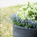 DrieDay second export-34.webp