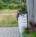 DrieDay second export-23.webp