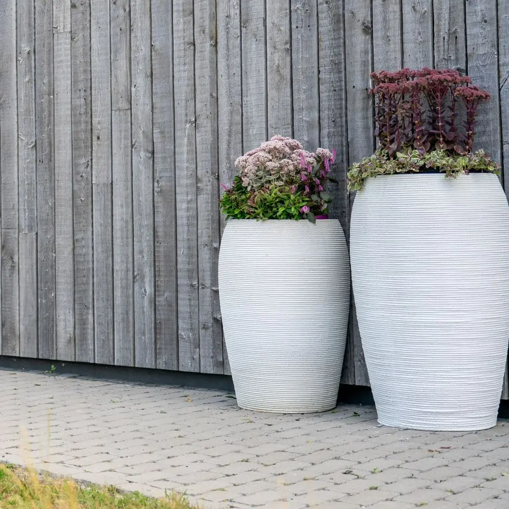 DrieDay second export-16.webp