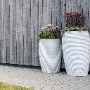 DrieDay second export-16.webp